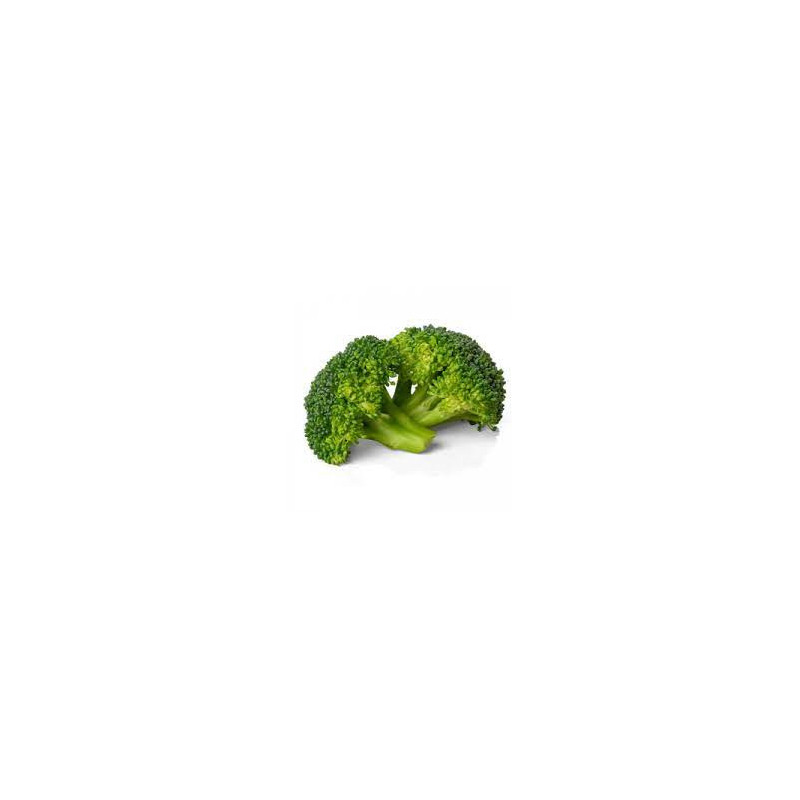 BROCOLI BELSTAR (TIENDA)