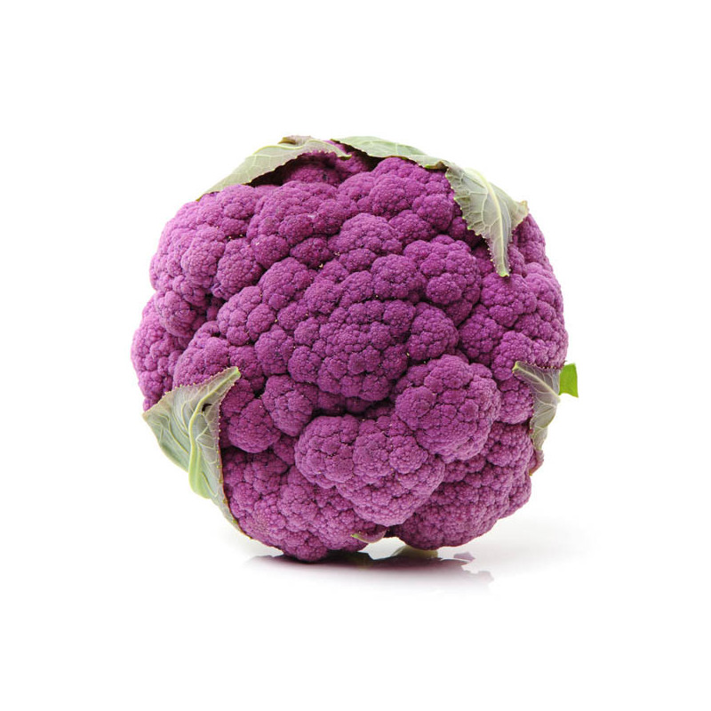 COLIFLOR MORADA VIOLET STAR (TIENDA)