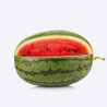 SANDIA INJ. R/CP MELONA RIVERSIDE (TIENDA)